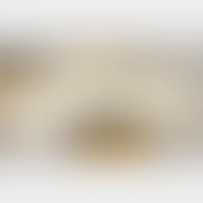 Partial Portfolio from LE CHEF-D"OEUVRE INCONNU (preview)