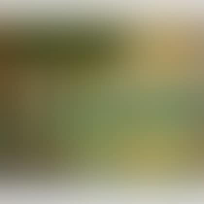 Pointillist Landscape in Summer (preview)