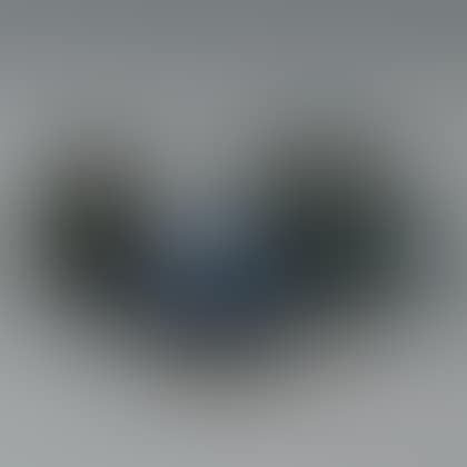 Three Cloisonne Items (preview)