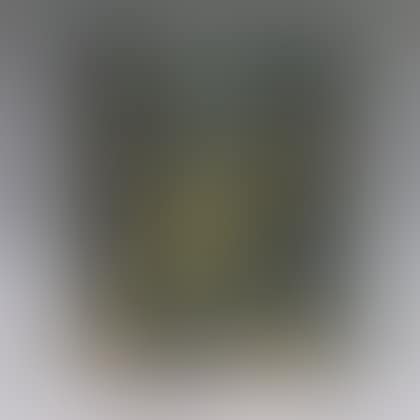 Three-panel Paint-decorated Canvas Screen (preview)