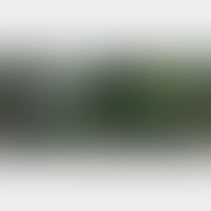 Garden View I (preview)