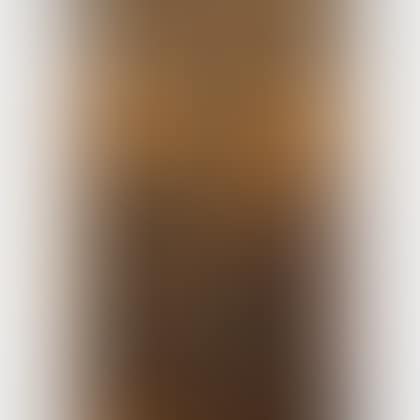 Crucifixion with Virgin Mary, Mary Magdalene and Kneeling Donor (preview)