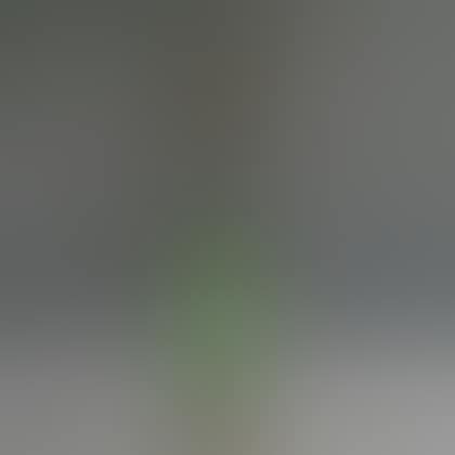 Brass-mounted Green Glass Lamp with Swan Handles (preview)