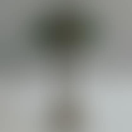 Brass and Molded Glass Table Lamp (preview)