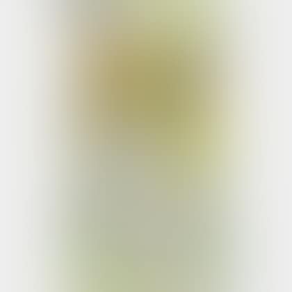 Floral Still Life (preview)