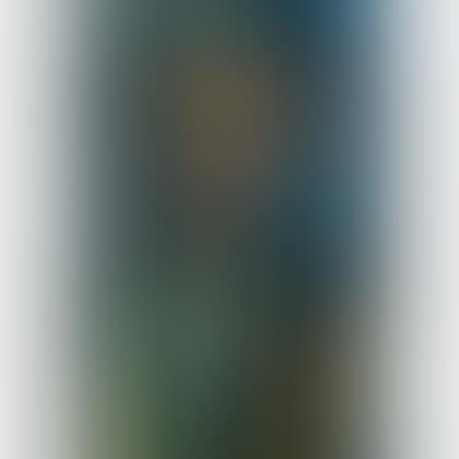 Arlequin (preview)