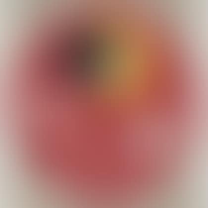 The Portfolio Soleil Recerclé , a Suite of Nineteen Images (preview)