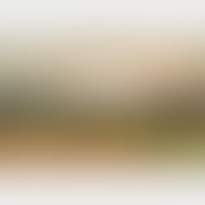 Landscape with Distant Mountains (preview)