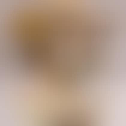 from the series Fifty-three Stations of the Tokaido (preview)