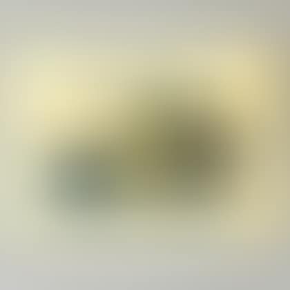 Hakone (preview)
