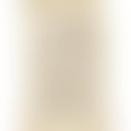 Folio Calligraphy Manuscript (preview)