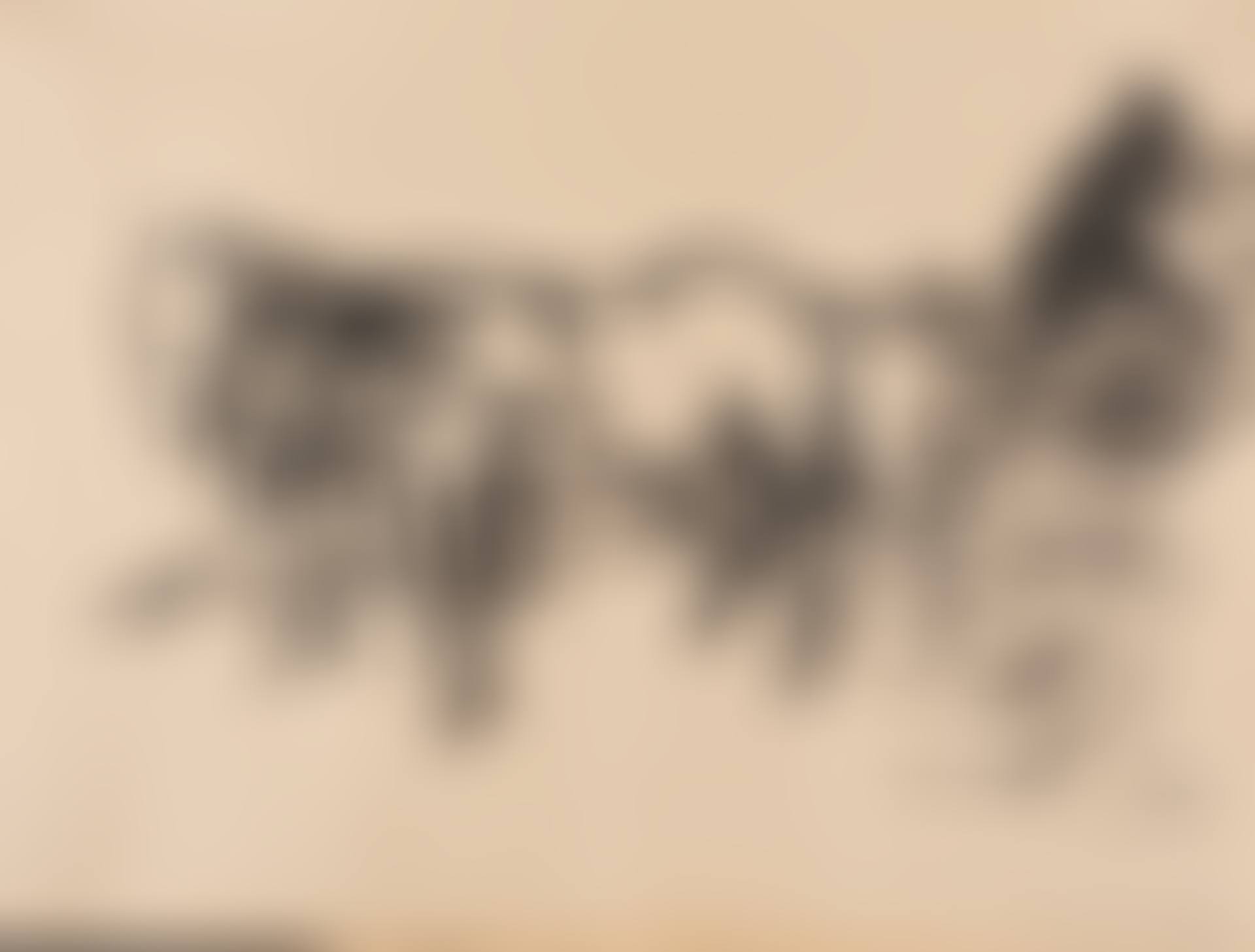Pferdegespann vor einem Heuwagen (preview)