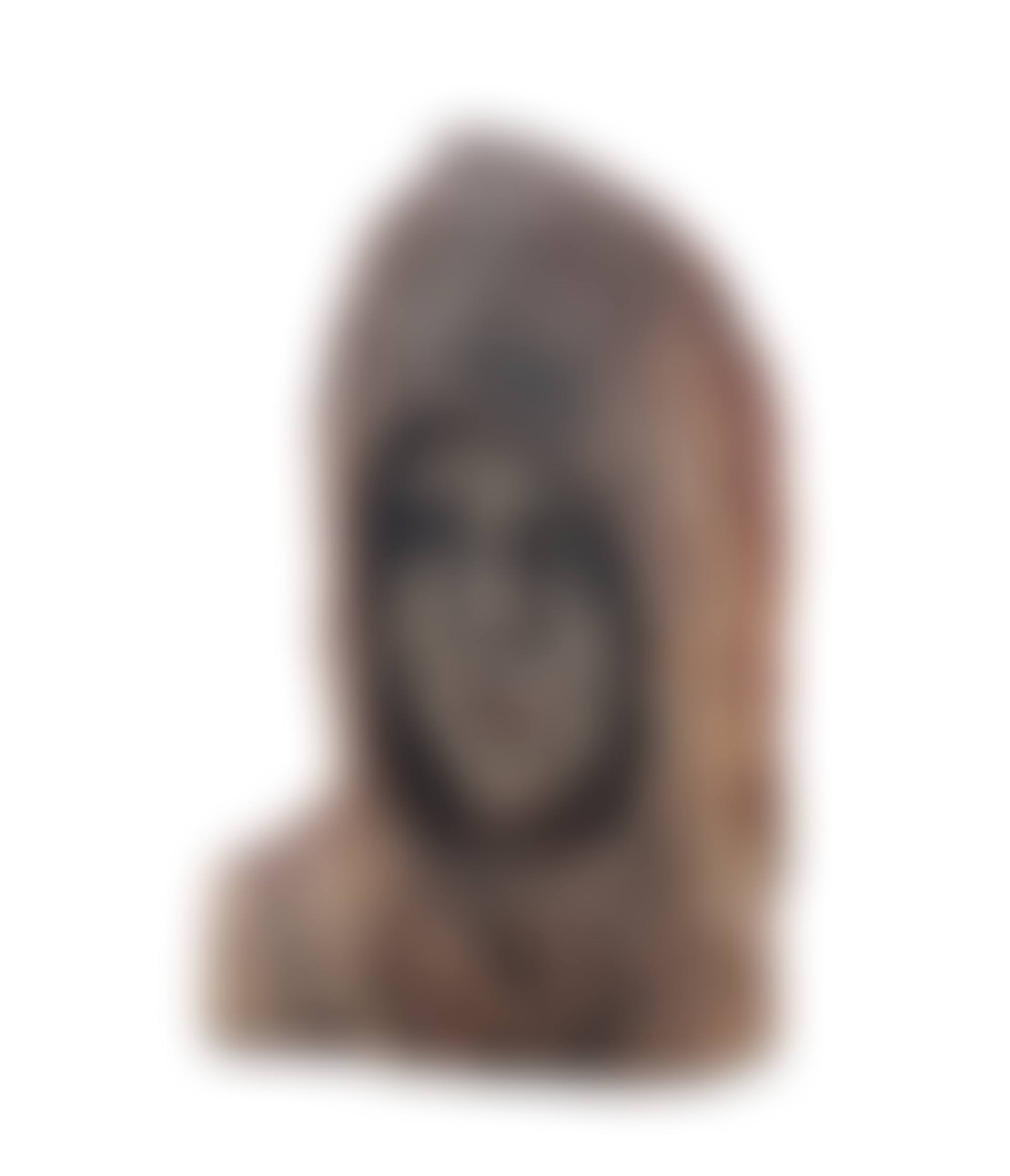 An interesting Scandinavian carved wood model of a whaler"s head (preview)