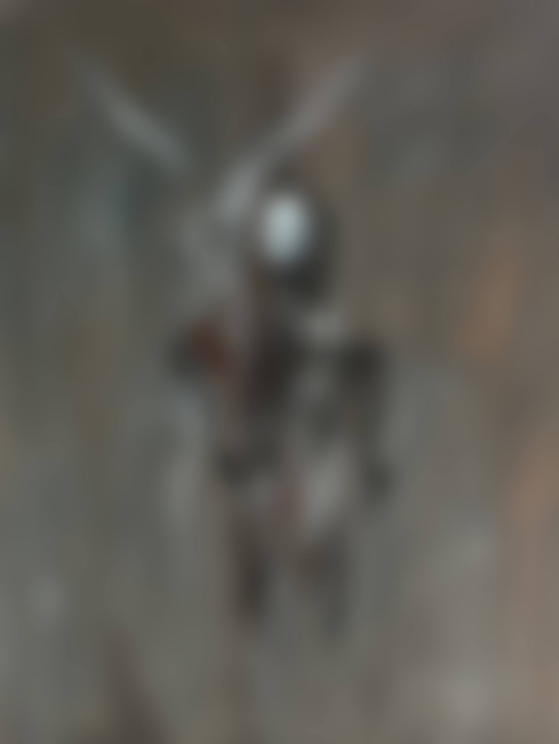 Untitled (preview)