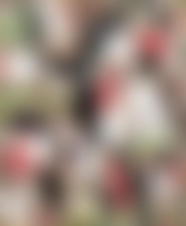 Fanfaronnade (preview)