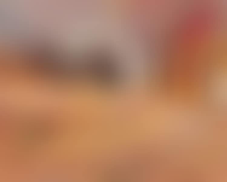 The Haunted House (preview)