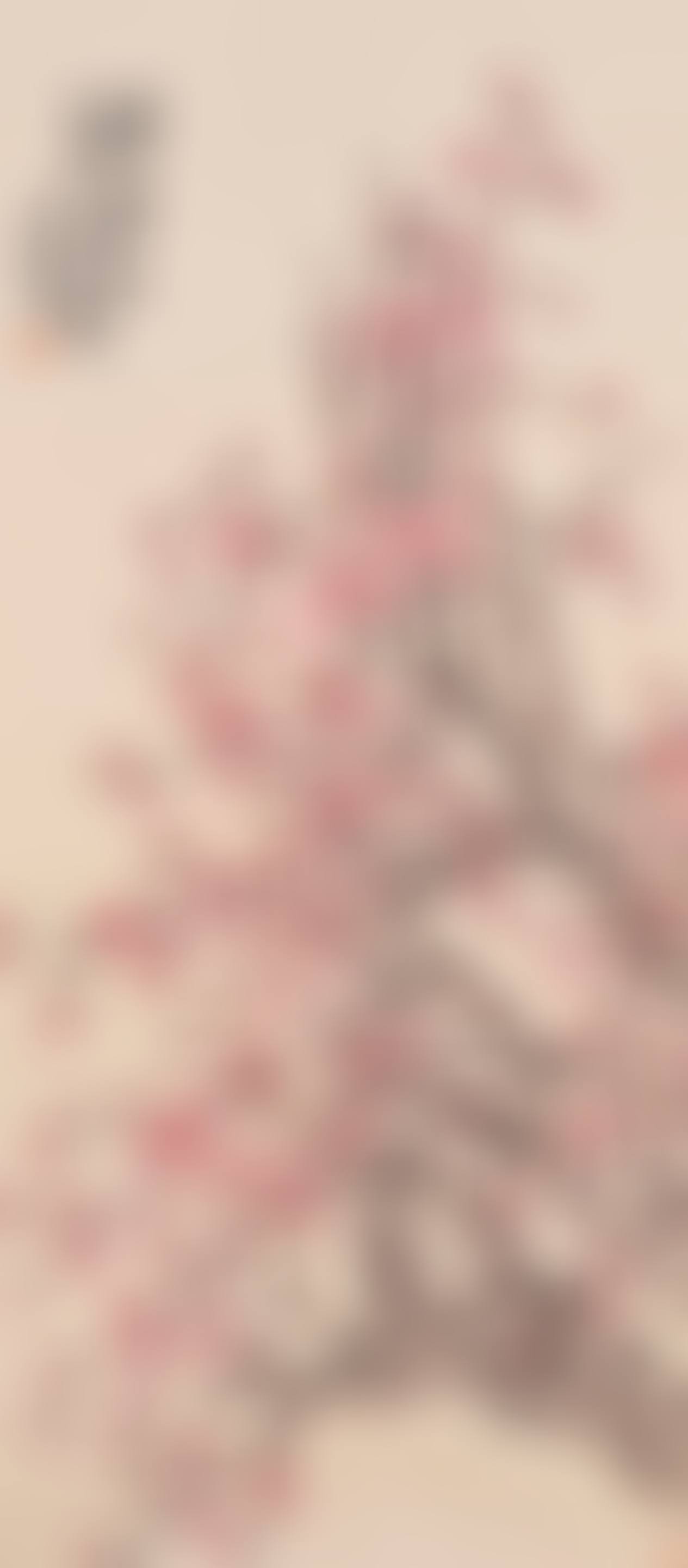 Plum Blossoms (preview)