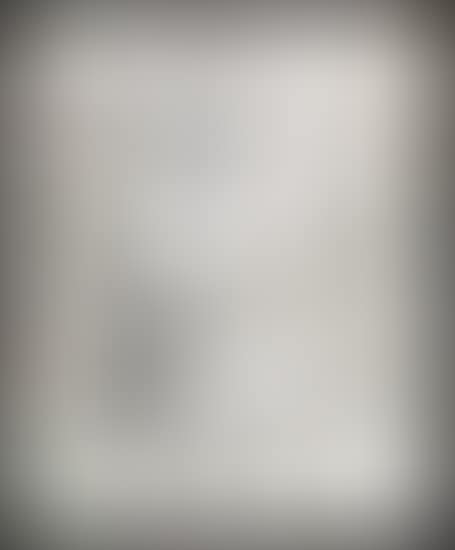 Tendresse des gris (preview)