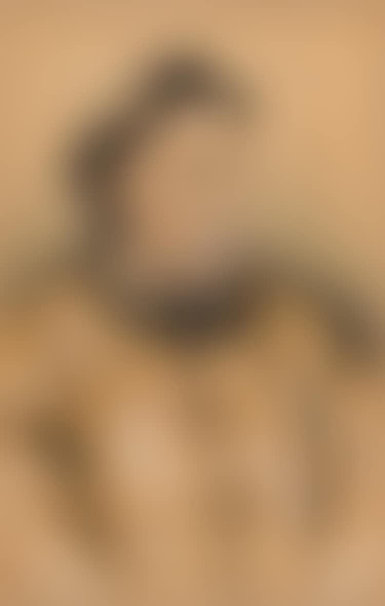 Portrait of Li Hongzhang (preview)