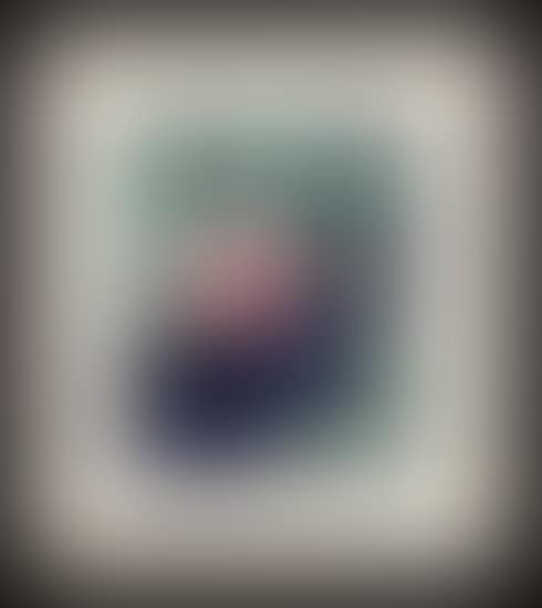 Two Works; Lily Pond (00281/2013-T705); Still Life (00282/2013-T704) (preview)