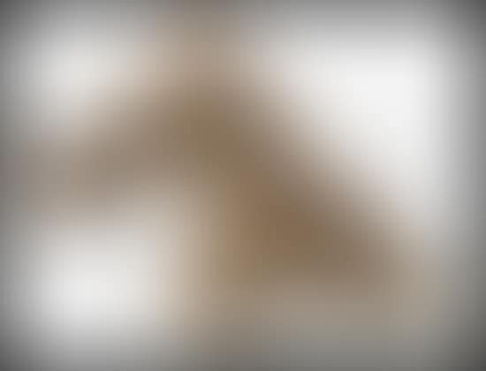 Untitled (Tai Chi series) (preview)