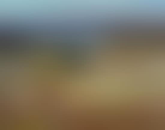 Summer Landscape, Labrador (preview)