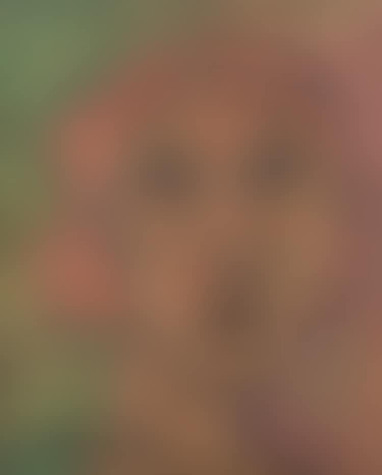 Indian; Bronze Head (preview)