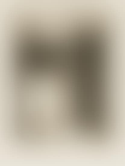 Portrait de Stéphane Mallarmé (preview)