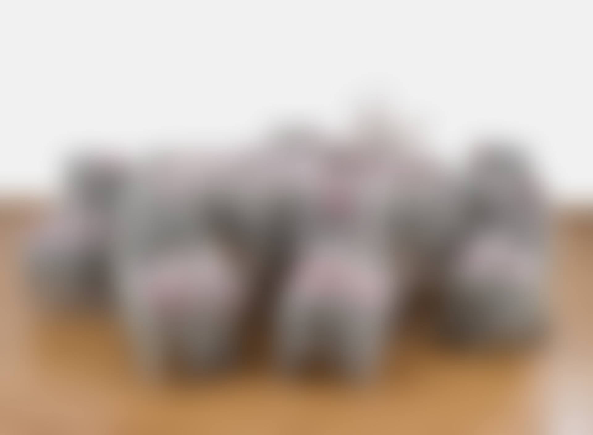 Six Guests (preview)