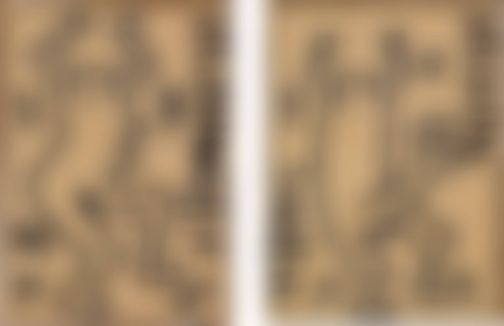 Untitled (Two Works) (preview)