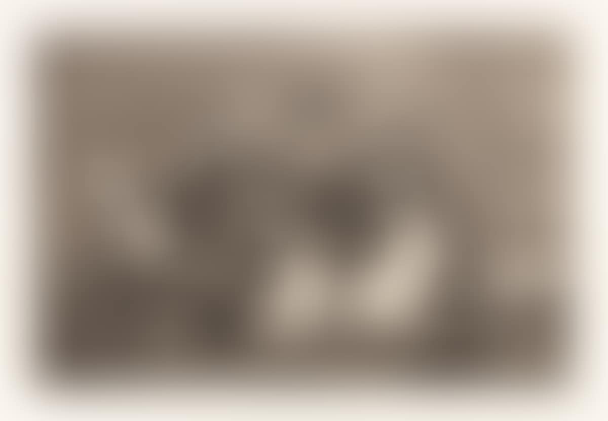 Pesa mas que un Burro Muerto (preview)