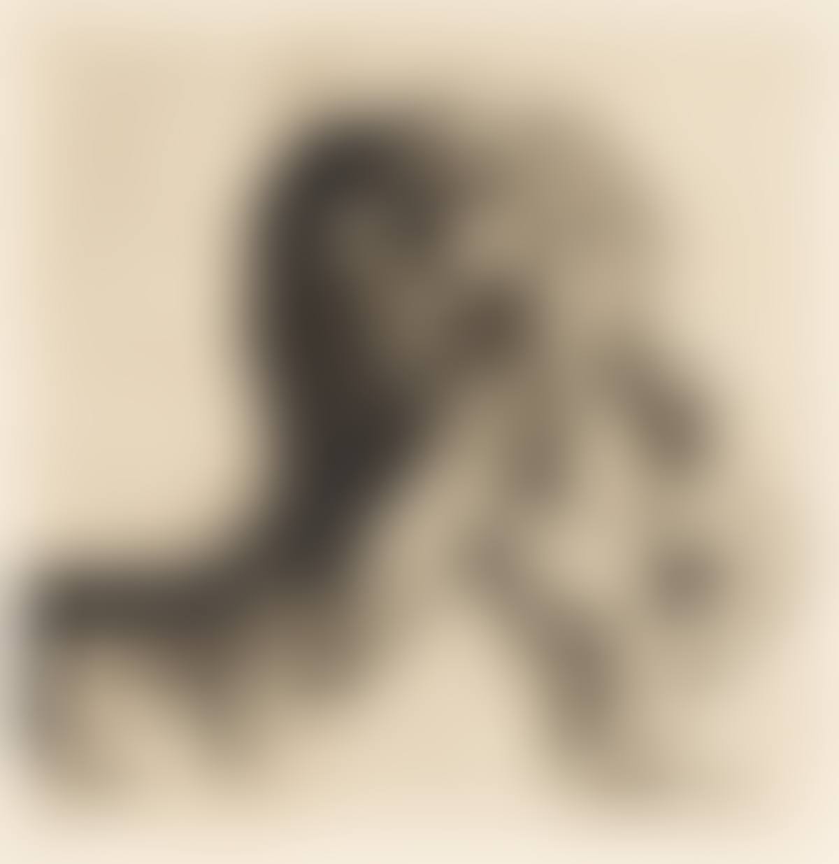 Tod und Frau . (preview)