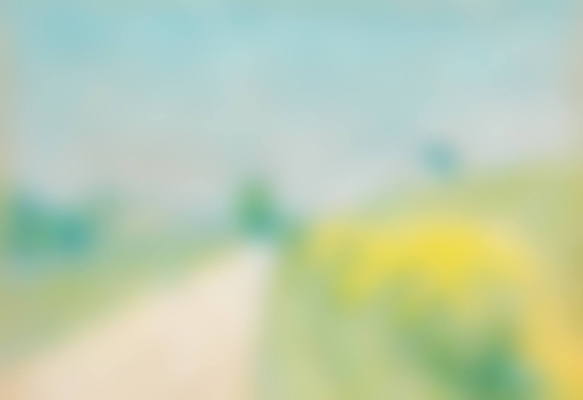 Le chemin de village, avec genêts en fleurs (Cailhau) (preview)