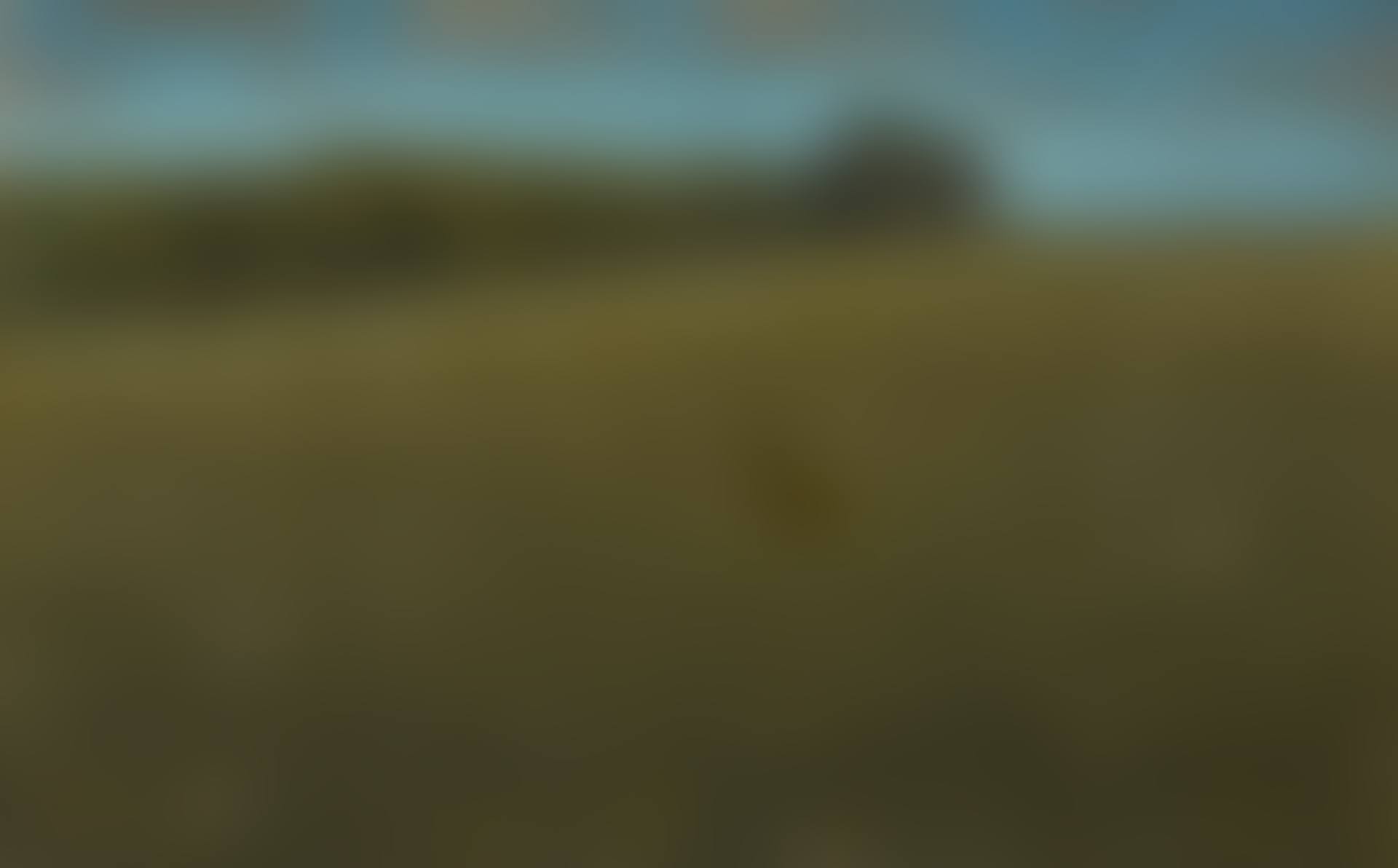 Roe Deer at Dusk (preview)