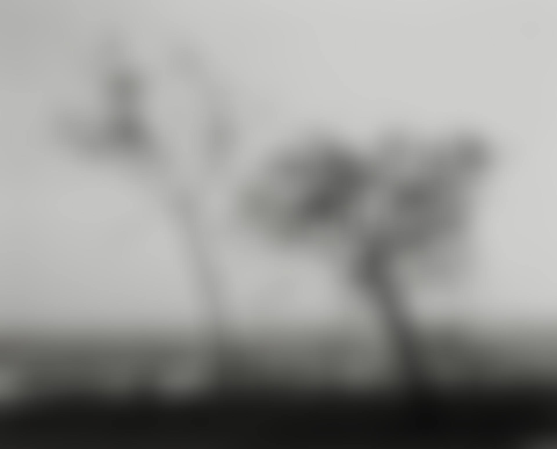 "On Signal Hill, Overlooking Long Beach, California" (preview)