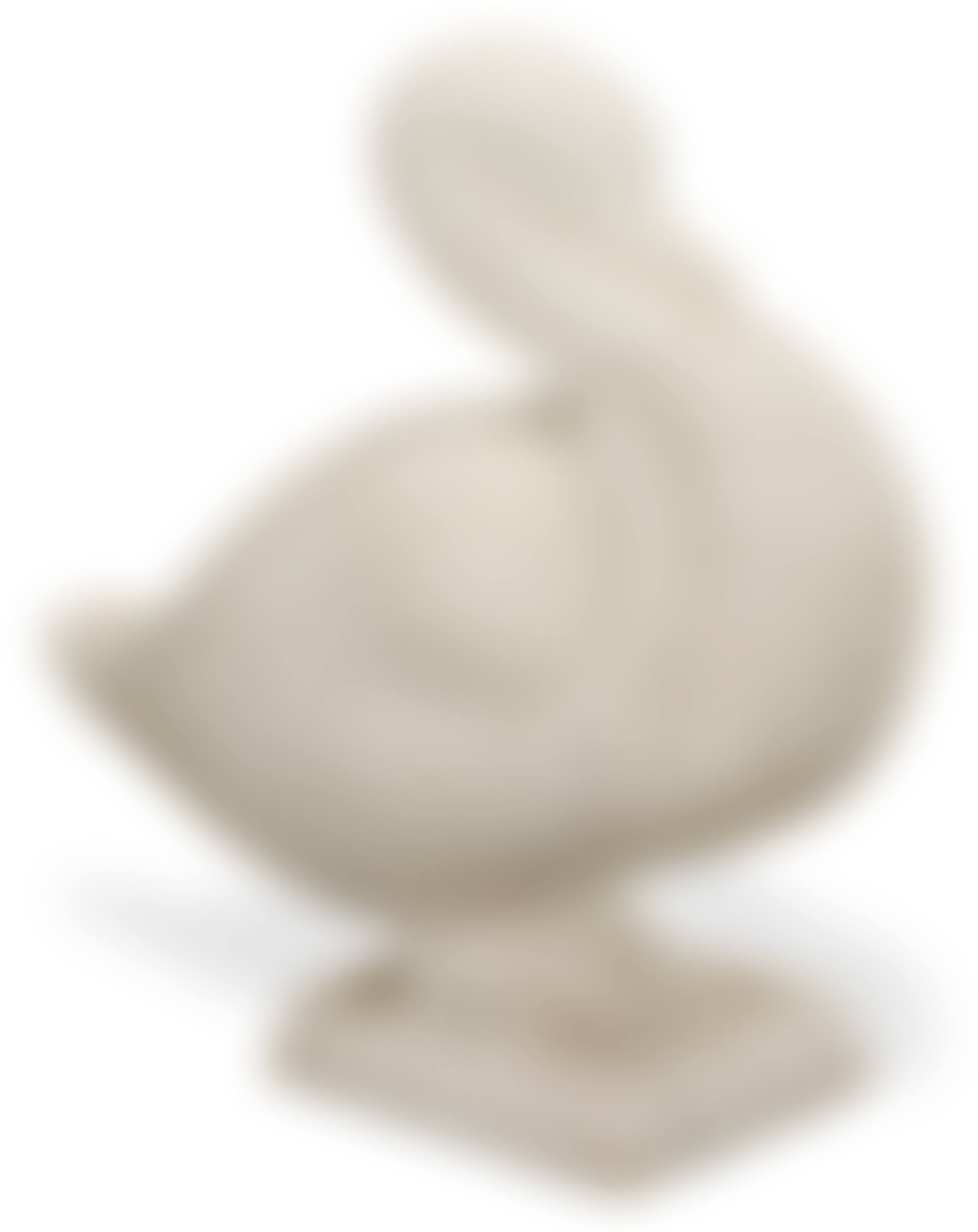 Duck (preview)