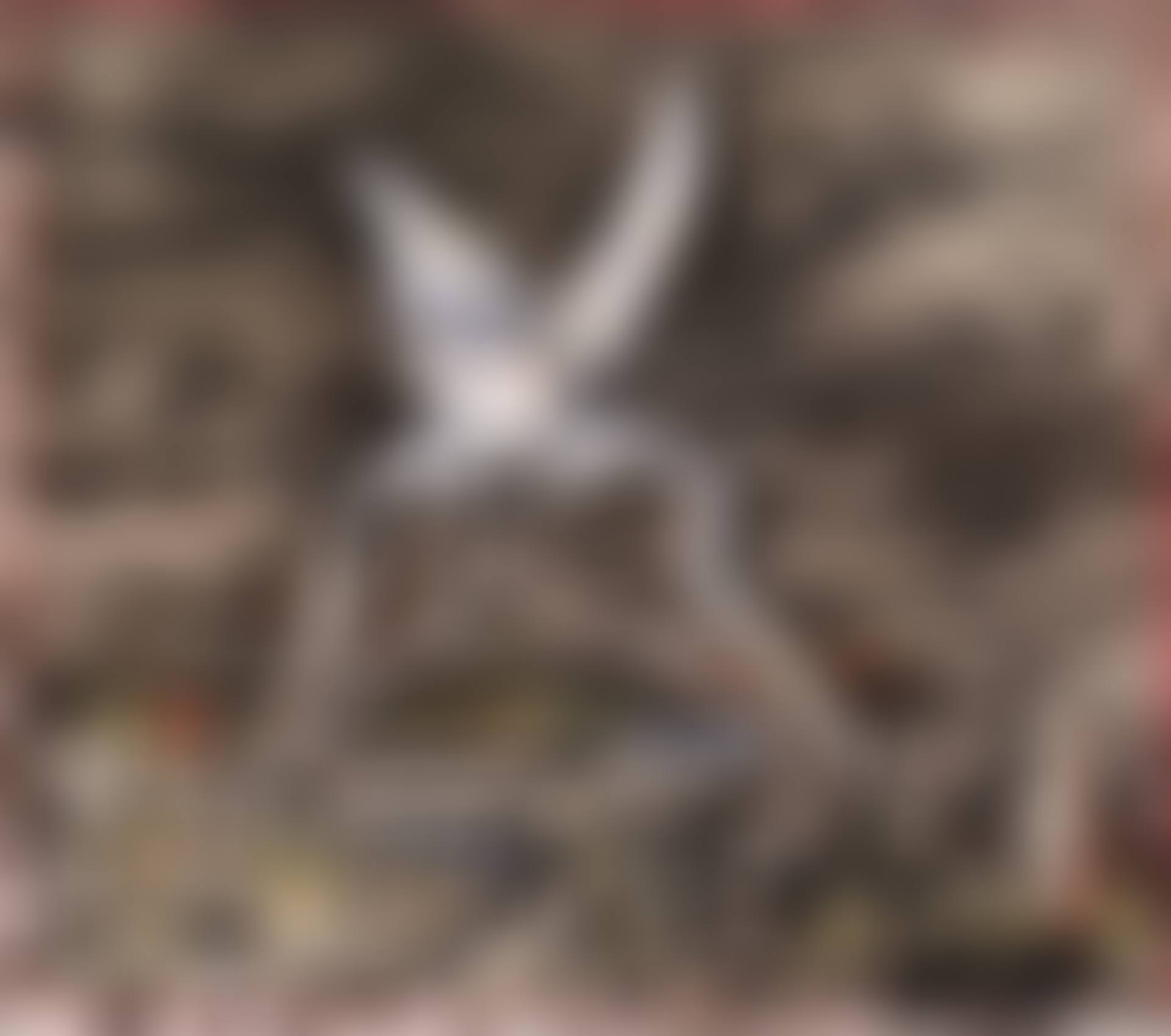 Shears (preview)