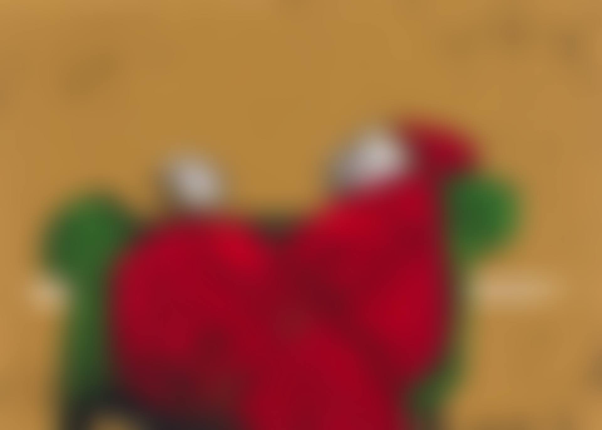 Rome (preview)