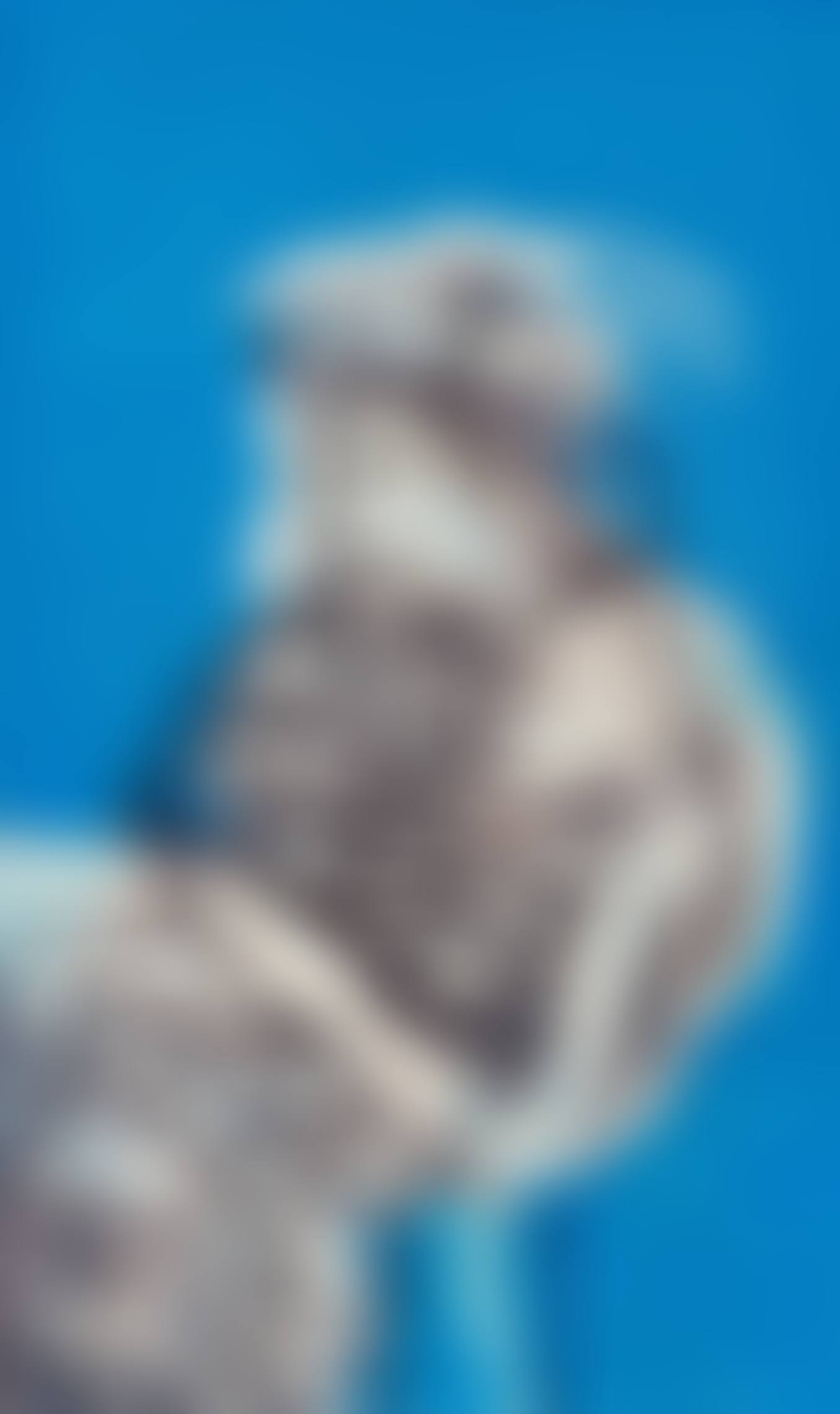 Portrait Of A Woman (preview)