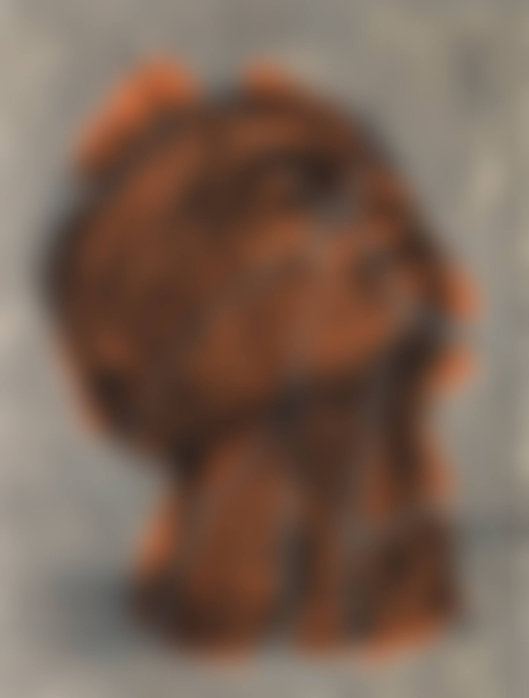 Head (Orange) (preview)
