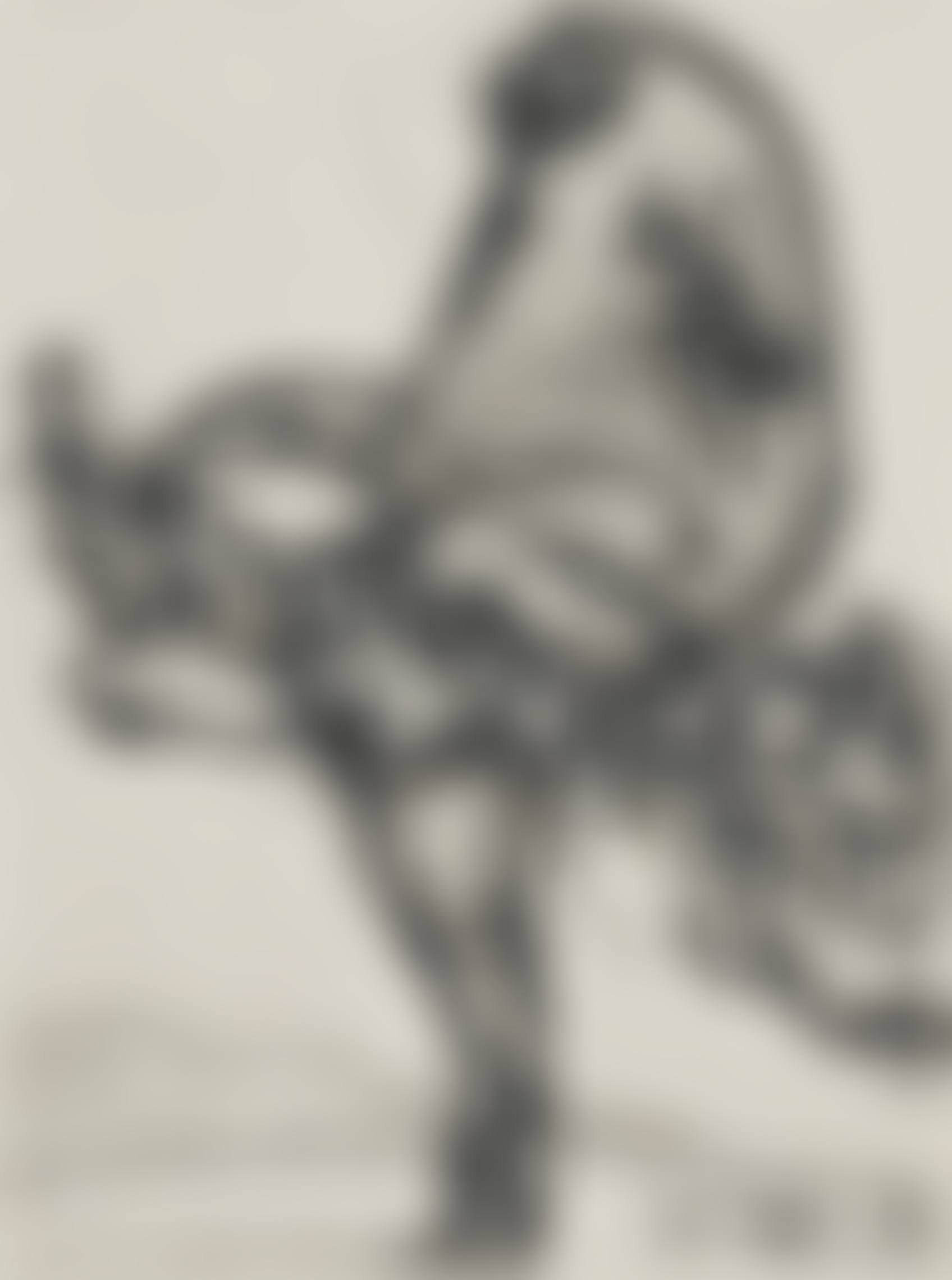 Nose 15 (preview)