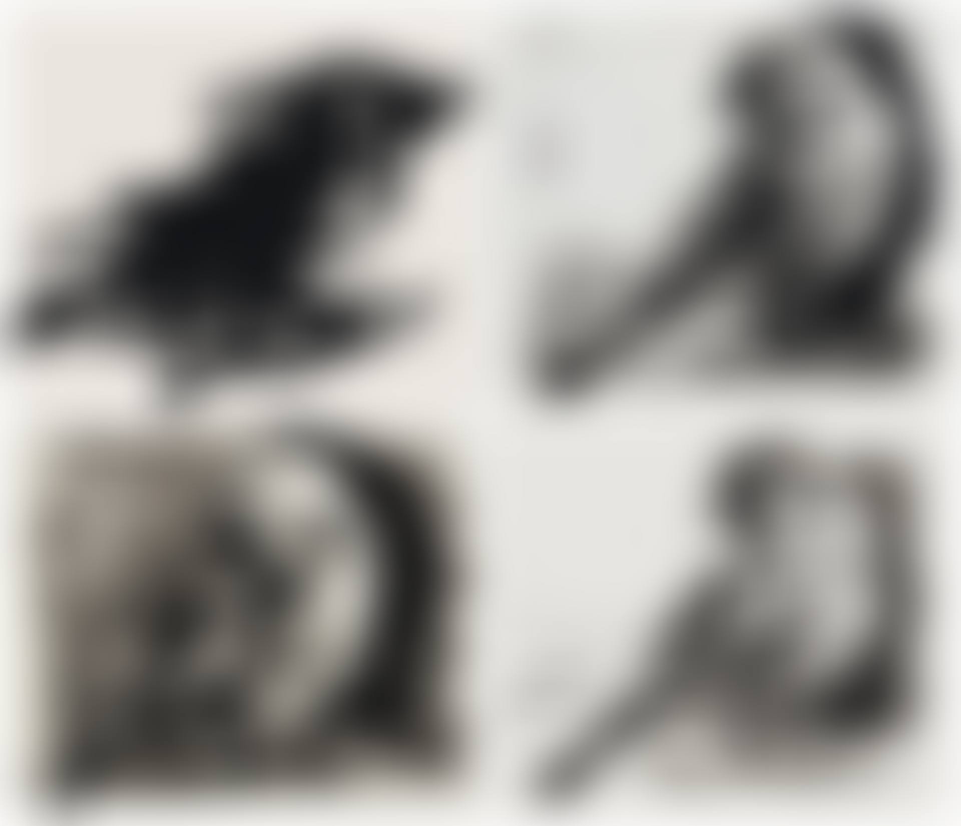 Bird Series, four (preview)