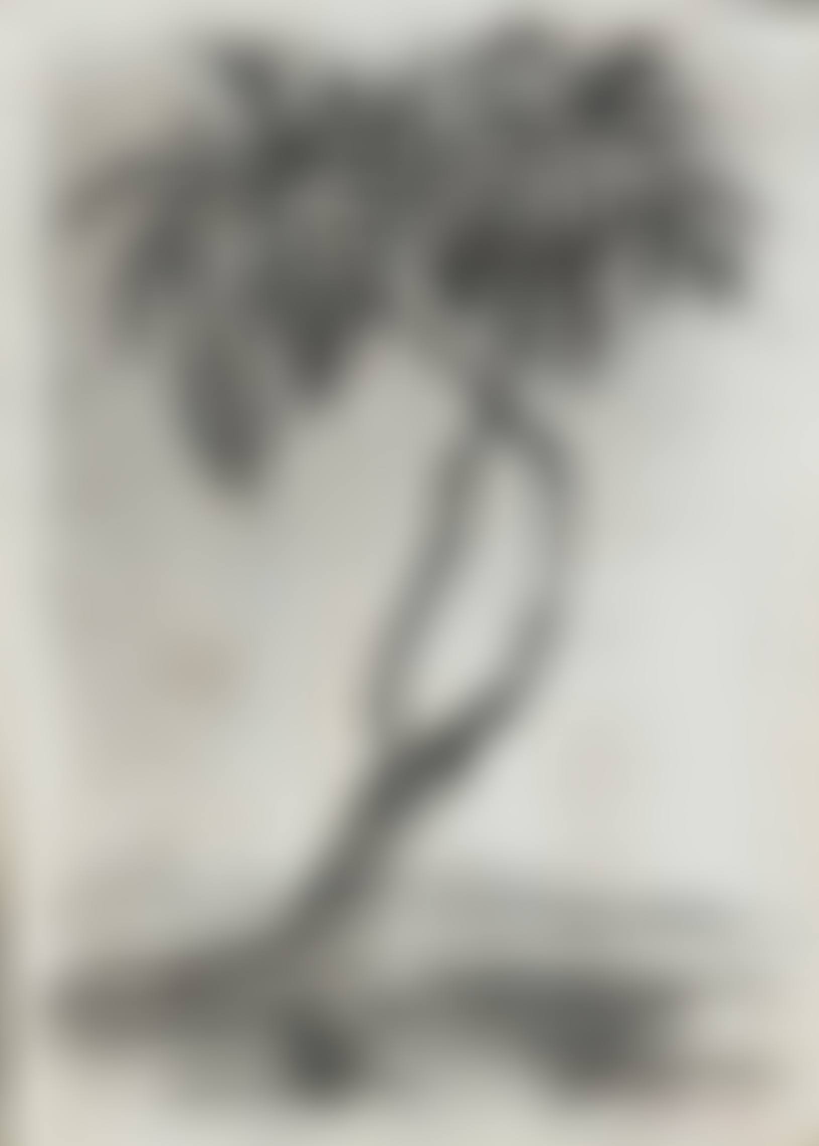 Palm Trees (preview)