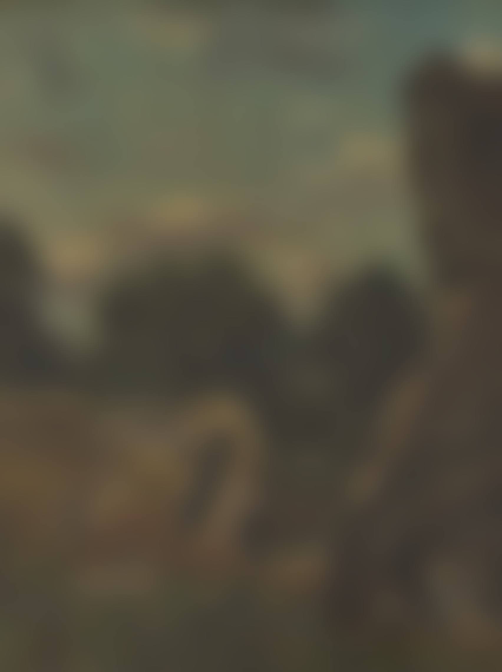 Landscape with Rocks (preview)