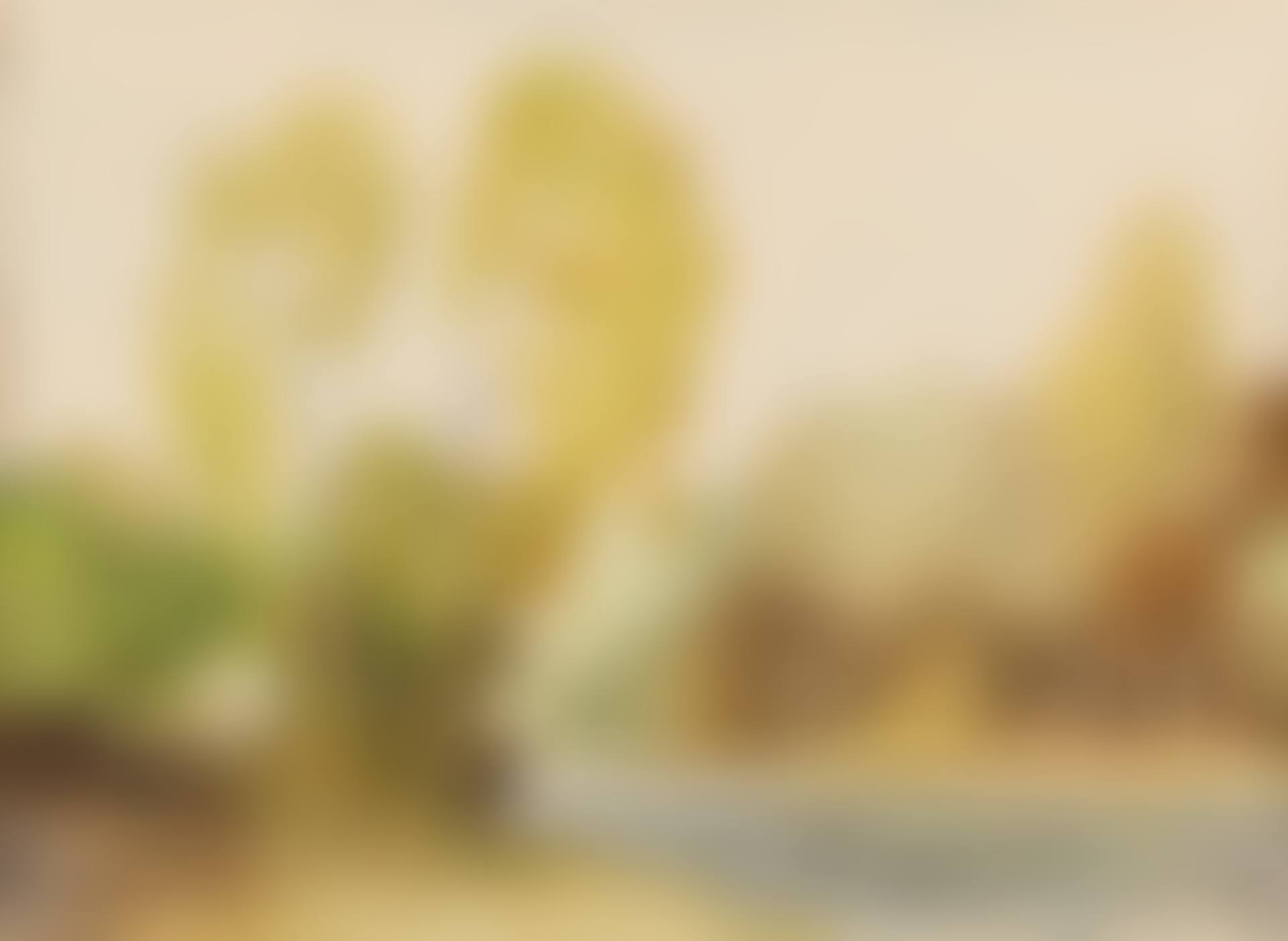 River Banks (preview)