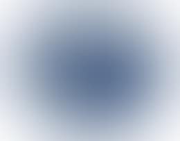 A Chinese blue and white Nanking dish (preview)