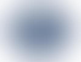A Chinese blue and white Nanking dish (preview)