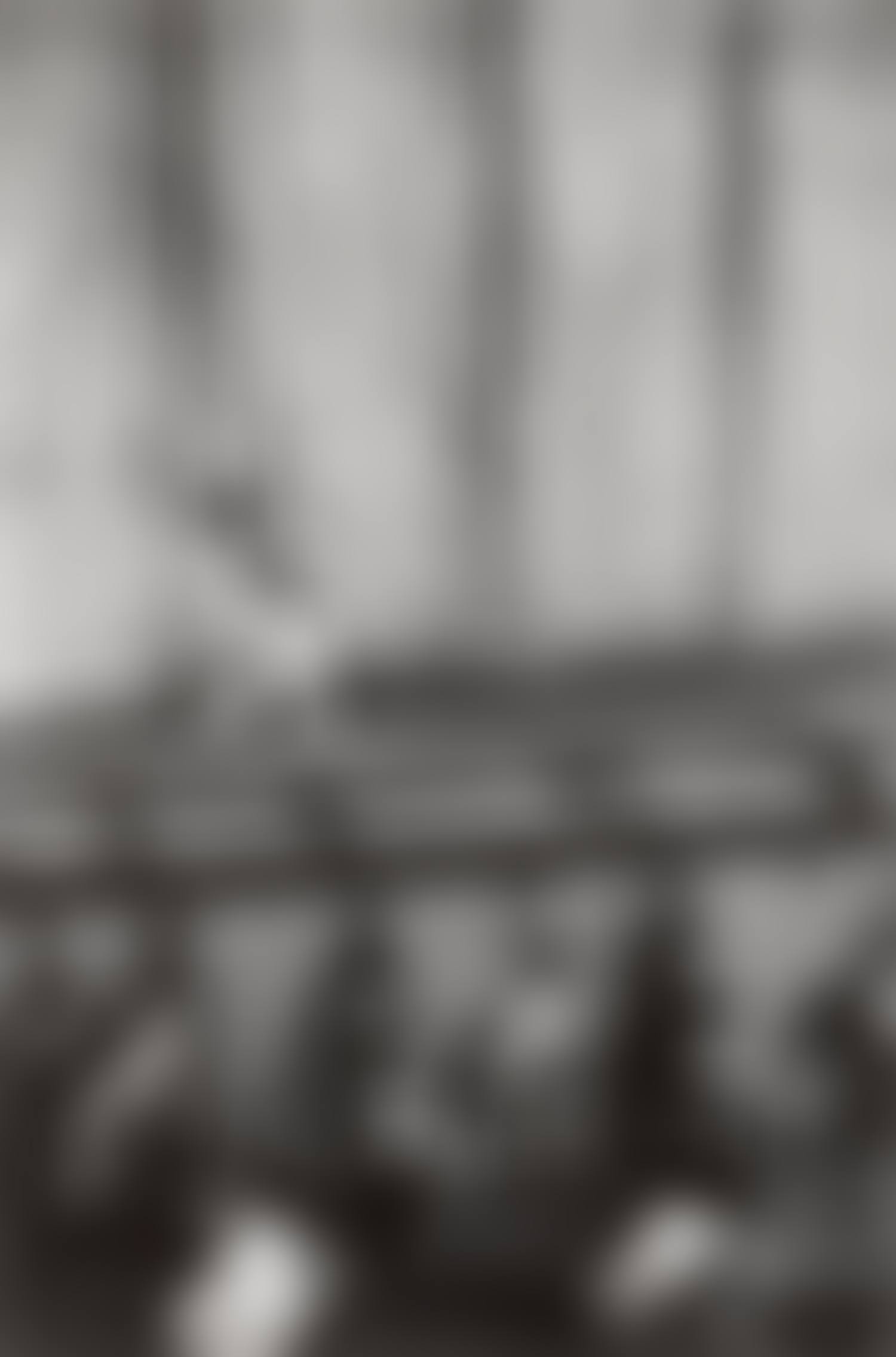 Swan Lake, Bolshoi Theatre, Moscow (preview)