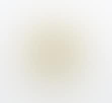A Chinese celadon jade disc (preview)