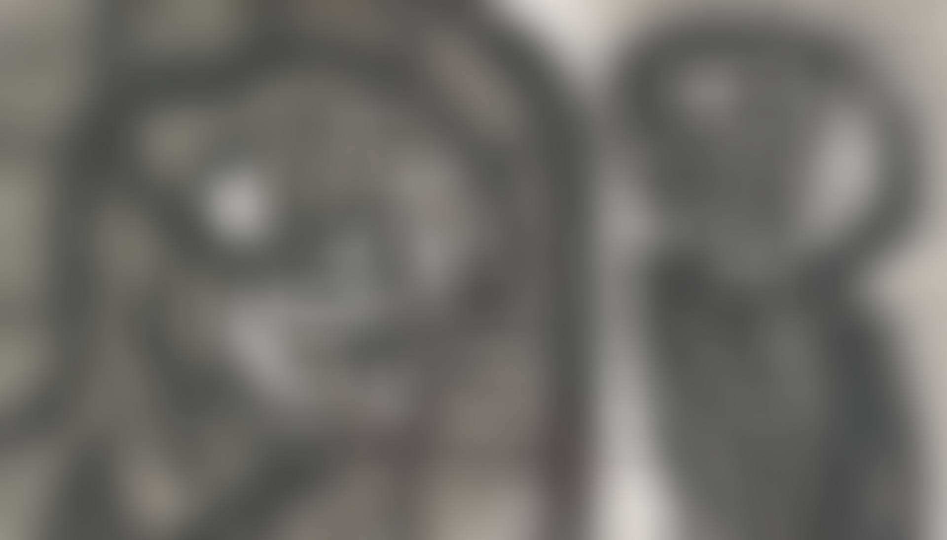 Before the Citadel, no. 2 (preview)